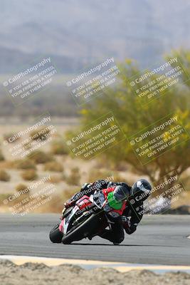 media/Apr-10-2022-SoCal Trackdays (Sun) [[f104b12566]]/Turn 5 Tree of Life (1040am)/